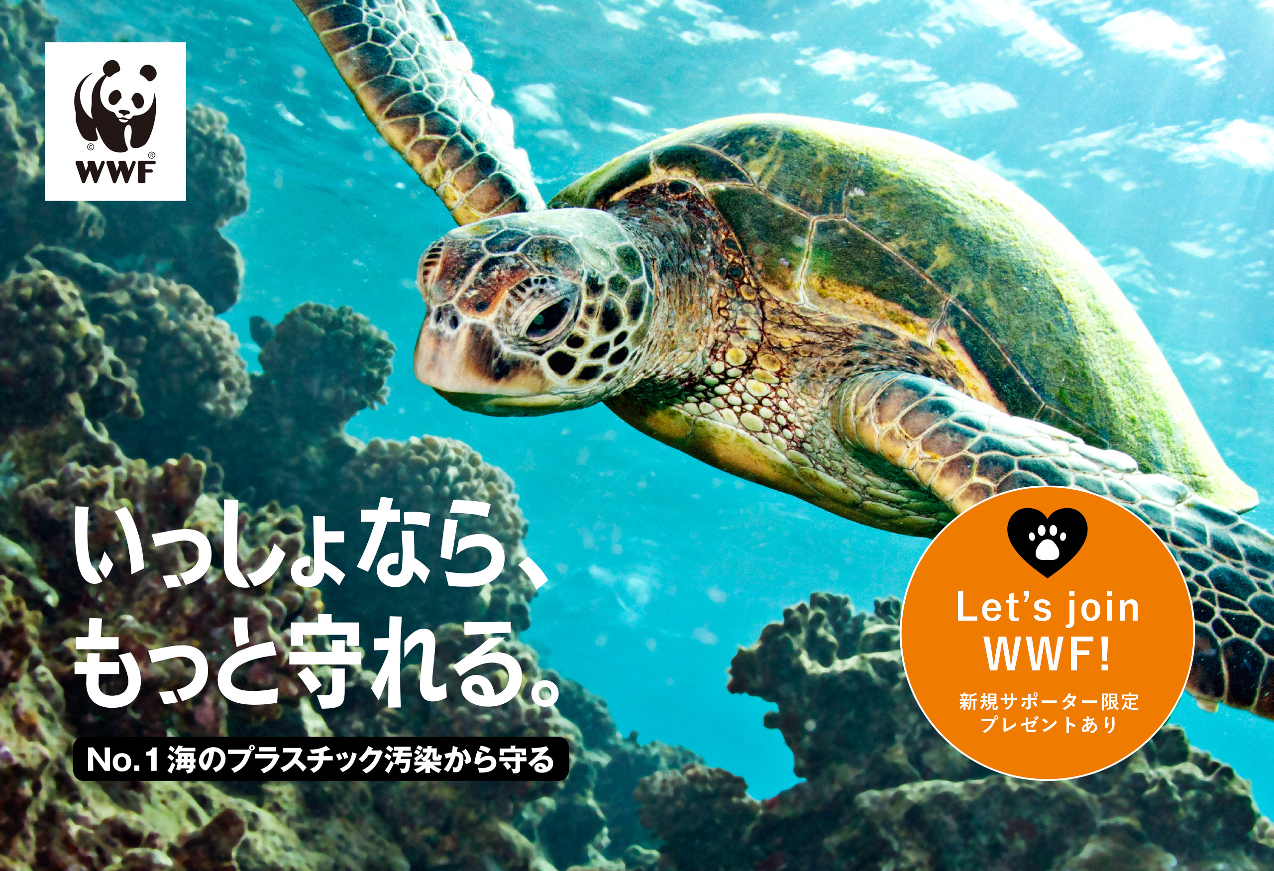 WWF 海洋プラスチック問題